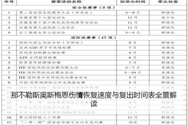 那不勒斯奥斯梅恩伤情恢复速度与复出时间表全景解读